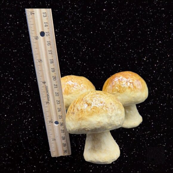 México Folk Art Paper Mache MUSHROOM Faux Vegetable Fruit Shaped 3 Pcs Set  3”T - Picture 11 of 12